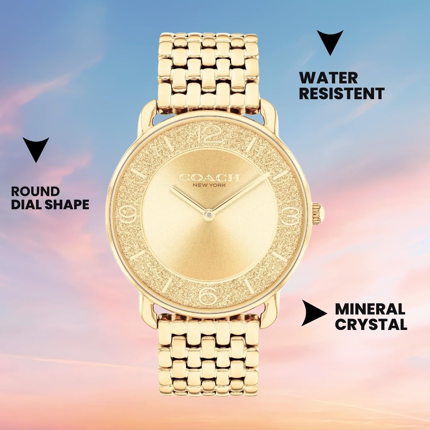Coach Elliot Qtz Basic Gold Round Dial Women's Watch|Ionic Plated Thin Gold Steel Material|Gold Color Band