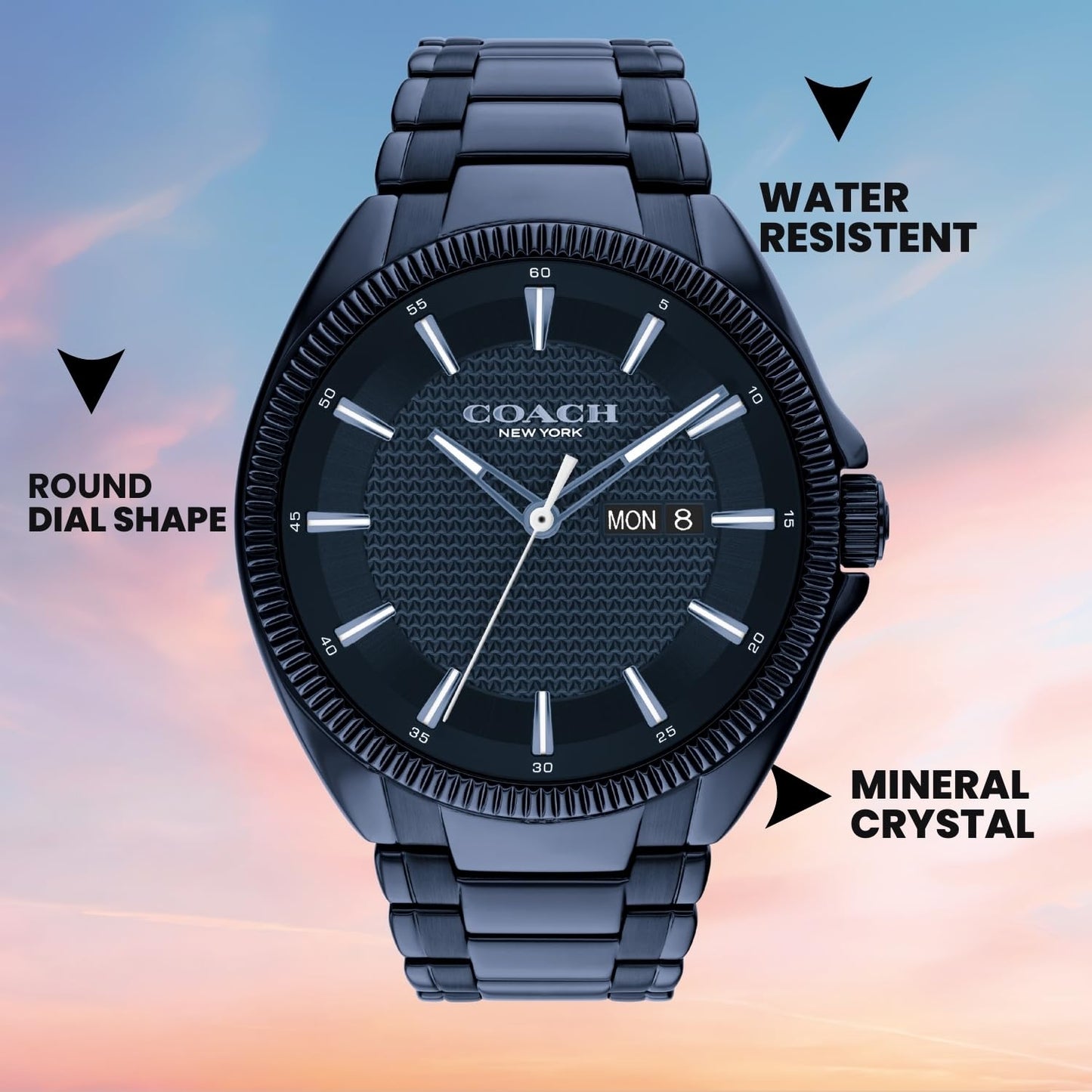 Coach Jackson Qtz Basic Calendar Blue Round Dial Men's Watch|Ionic Plated Blue Steel Material|Blue Color Band