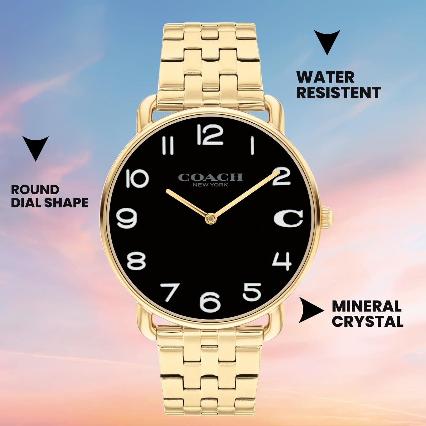 Coach Elliot Qtz Basic Black Round Dial Men's Watch|Ionic Plated Thin Gold Steel Material|Gold Color Band