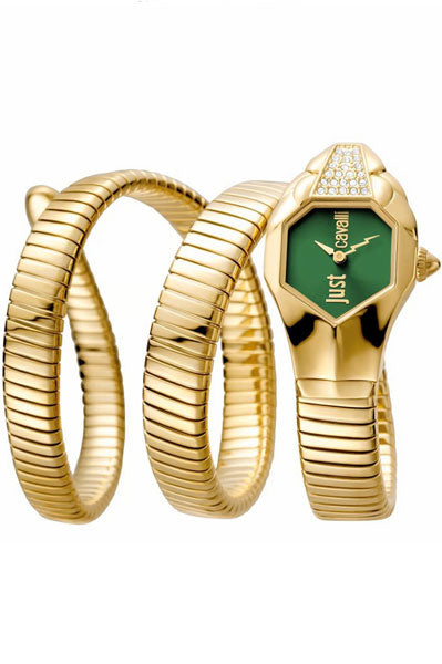 Just Cavalli Analog Green & Stainless Steel Wowen's Watch JC1L022M0065