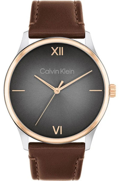 watch only time man Calvin Klein Timeless 25200453
