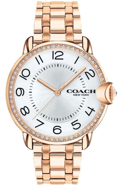 14503809 Analog Watch for Women