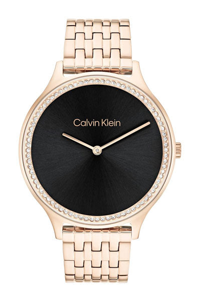 Quartz Female Analog Black Stainless Steel Watch 25100003