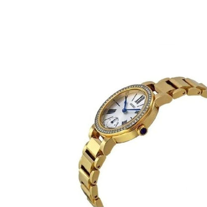 Seiko analog Silver & Stainless Steel Women's Watch SRK028P1