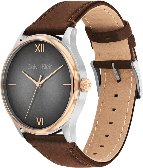 watch only time man Calvin Klein Timeless 25200453