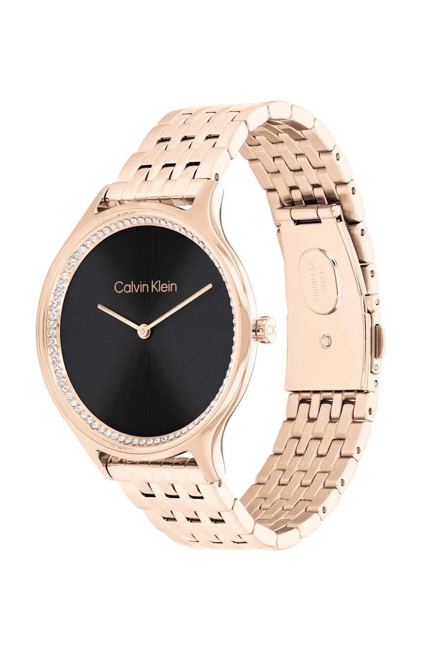 Quartz Female Analog Black Stainless Steel Watch 25100003