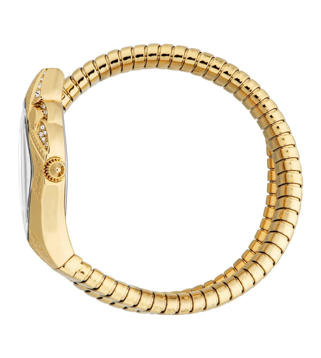 JC1L306M0035 Ferocious Analog Watch for Women