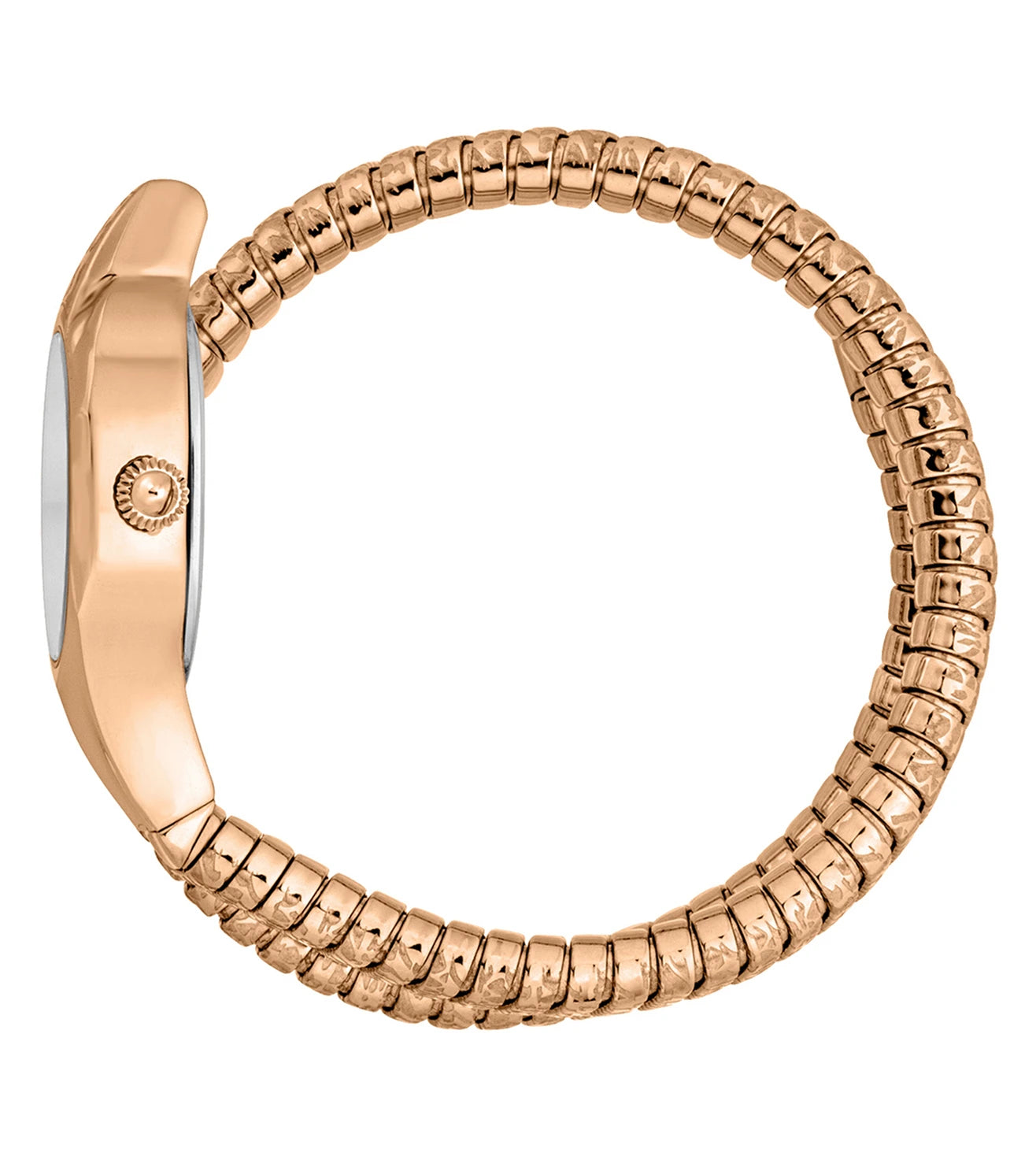 Just Cavalli  Silver & Stainless Steel Women's Watch JC1L270M0045