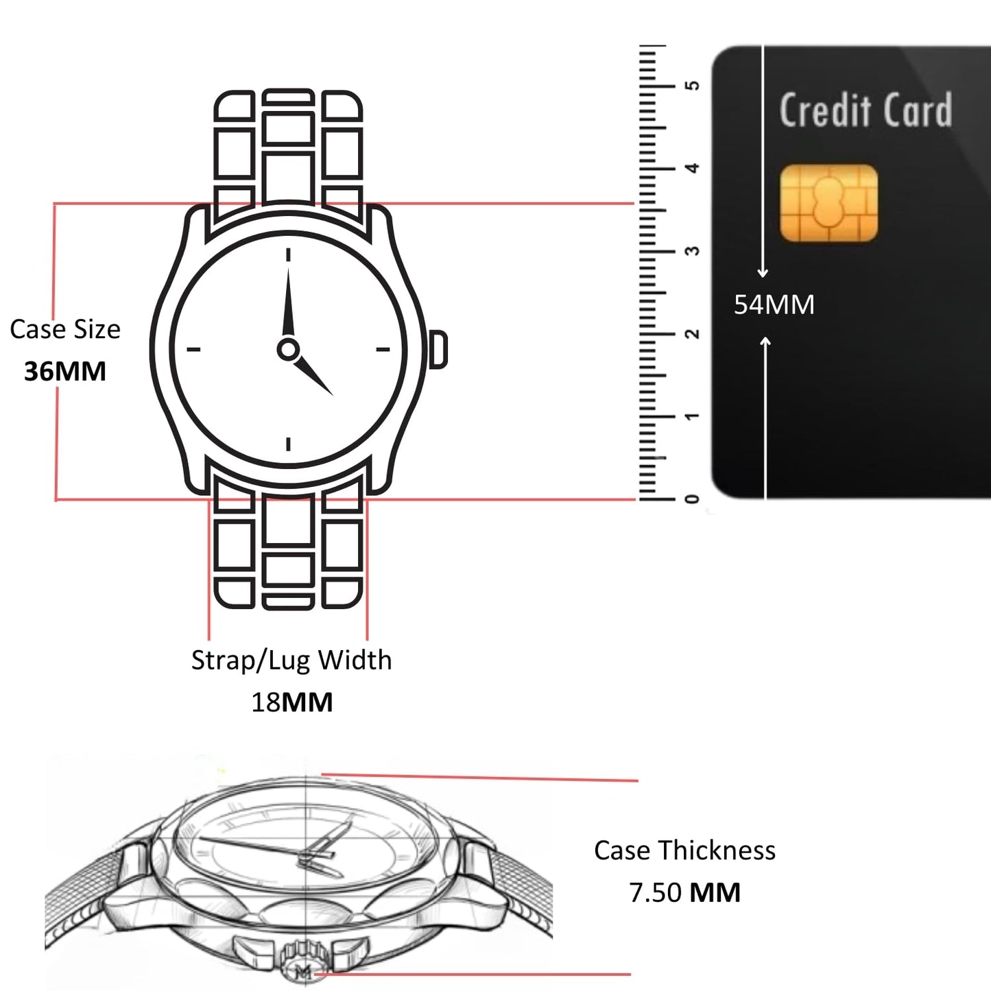 Coach Elliot Qtz Basic Gold Round Dial Women's Watch|Ionic Plated Thin Gold Steel Material|Gold Color Band