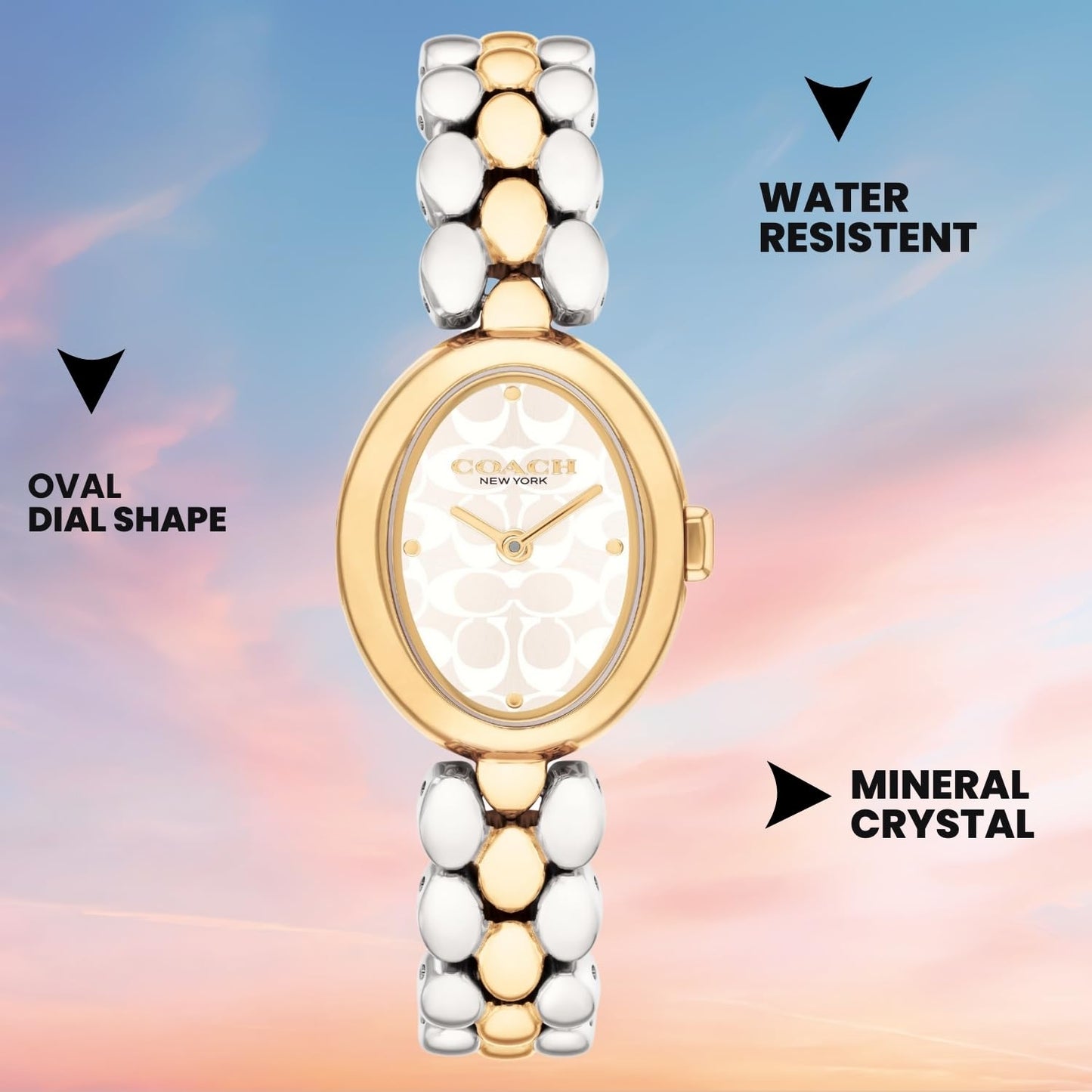 Coach Sammy Qtz Basic Silver White Oval Dial Women's Watch|Stainless Steel & Ionic Plated Thin Gold Steel Material|Gold Color Band