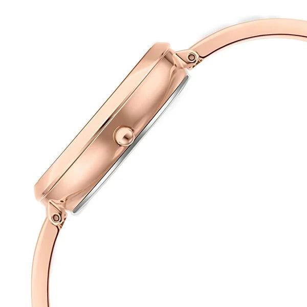 Raga Viva Rose Gold Dial Women Watch With Metal Strap