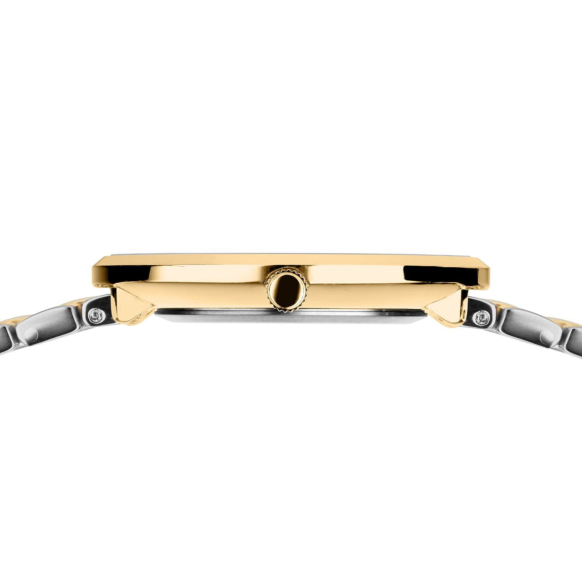 Titanium Watch for Women