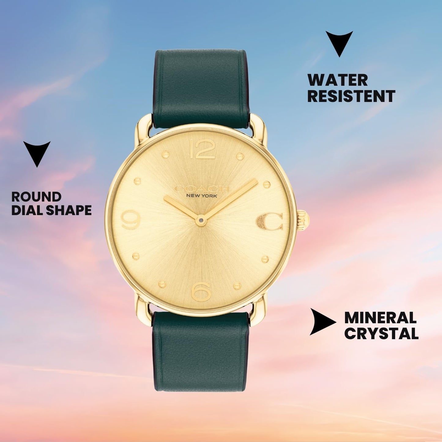 Elliot Women Quartz