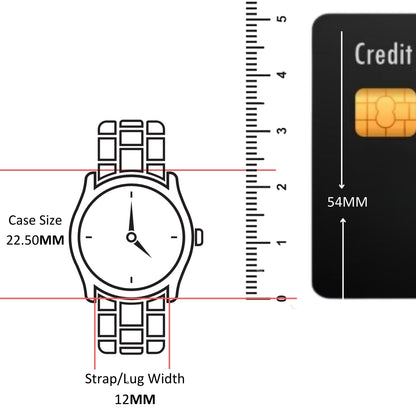 Coach Sammy Qtz Basic Silver White Oval Dial Women's Watch|Stainless Steel & Ionic Plated Thin Gold Steel Material|Gold Color Band