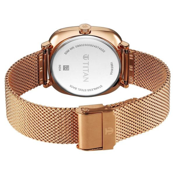 Analog Brown & Stainless Steel Men' 1885WM01